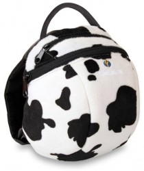 animal-cow-LARGE_800x600w